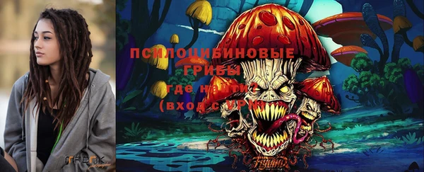 прущий лед Корсаков