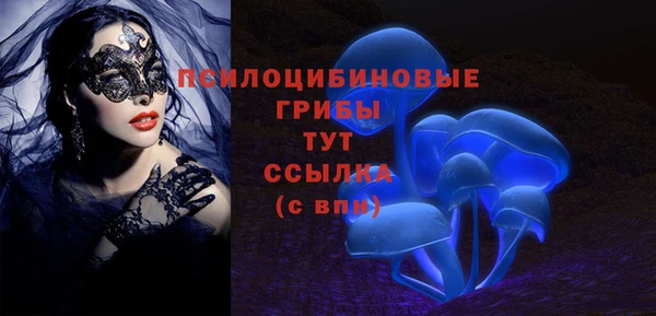 прущий лед Корсаков